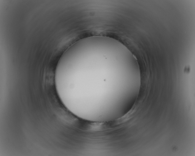 X0000092020090200709271558