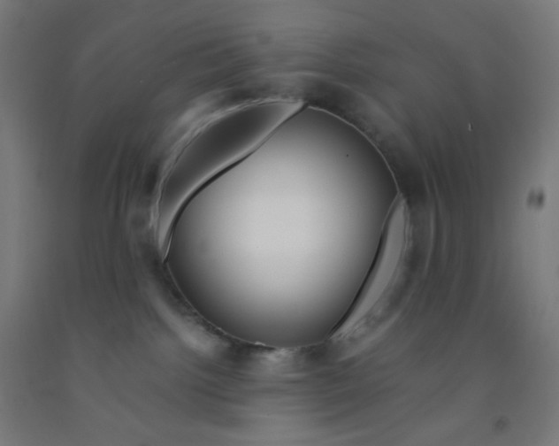 X0000092020092200709271558