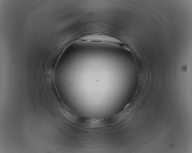 X0000092020093200709271558