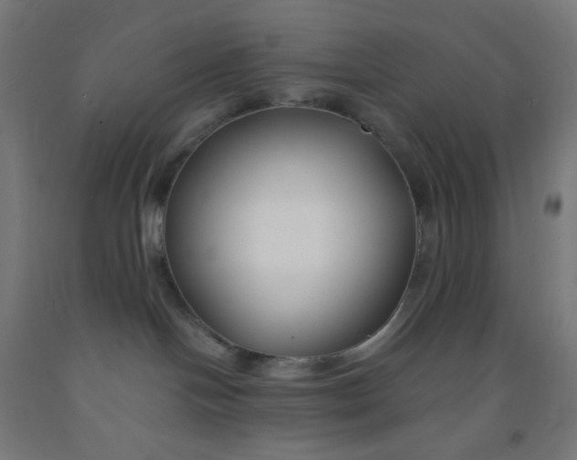 X0000092020094200709271558