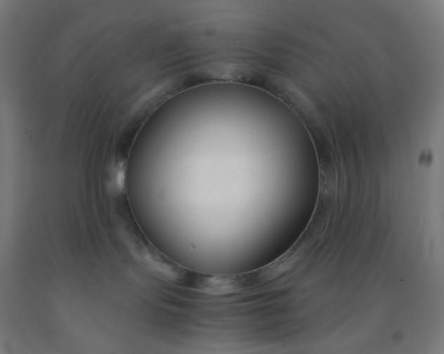 X0000092020095200709271558