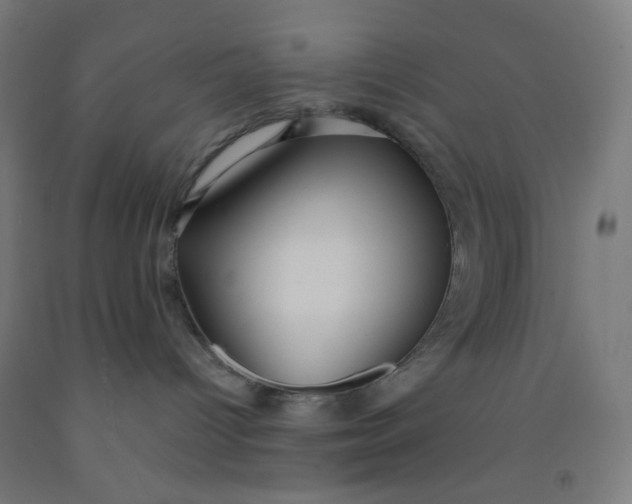 X0000092020096200709271558