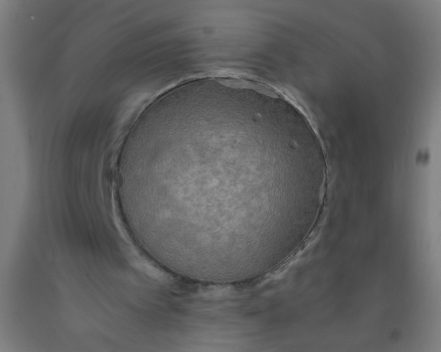 X0000092020097200709271557