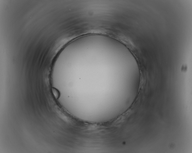 X0000092020098200709271557