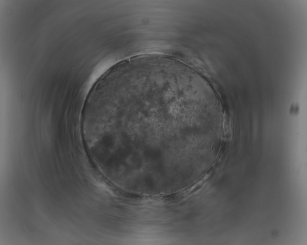 X0000092020099200709271557