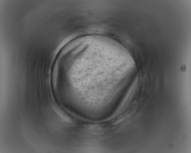 X0000092020100200709271557