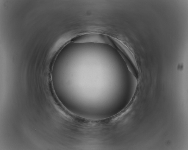 X0000092020101200709271557