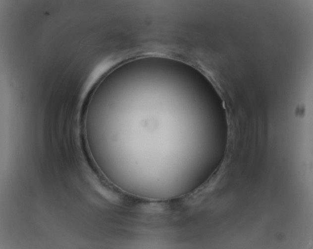 X0000092020102200709271557