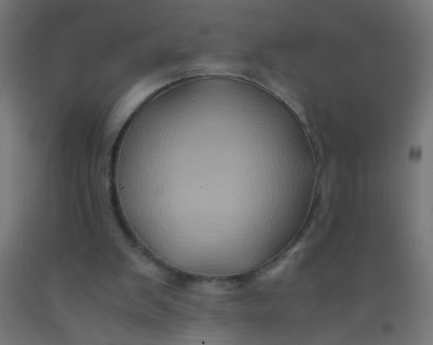 X0000092020103200709271557