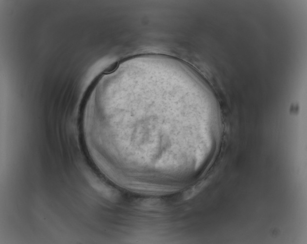 X0000092020104200709271557