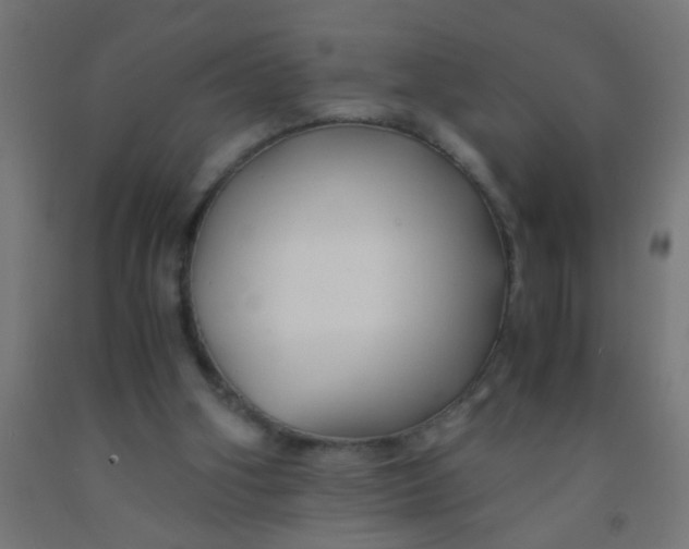 X0000092020106200709271557