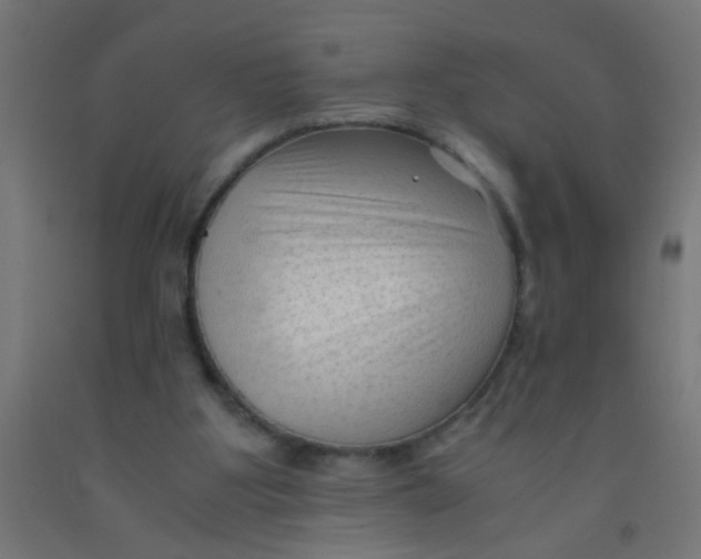 X0000092020107200709271557