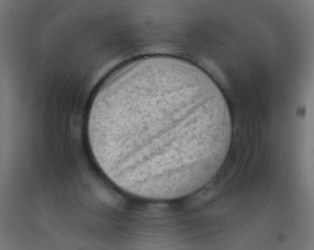 X0000092020108200709271557