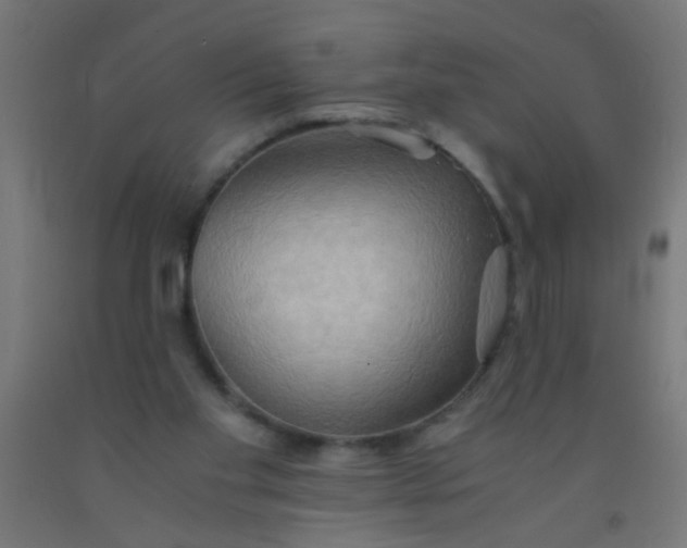 X0000092020109200709271557