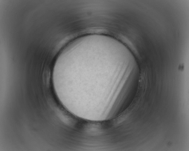 X0000092020110200709271557