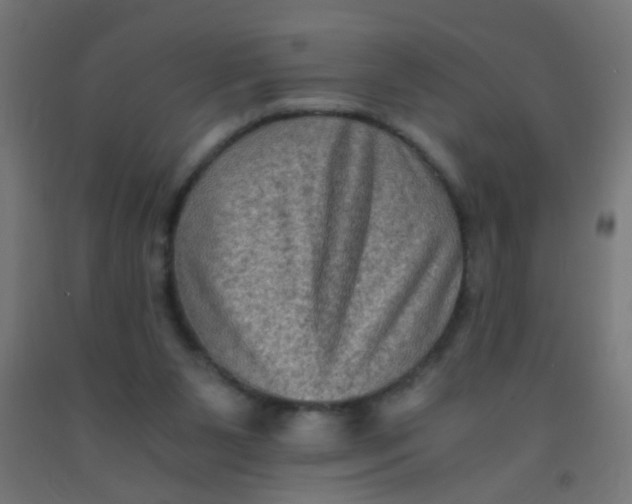 X0000092020111200709271557