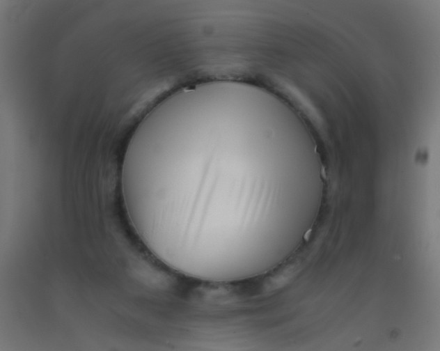 X0000092020113200709271557