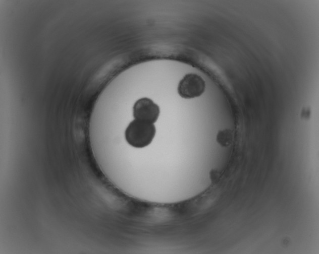 X0000092020114200709271557