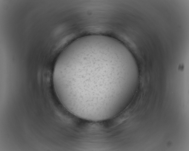 X0000092020115200709271557