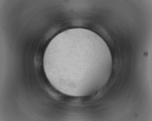 X0000092020116200709271557