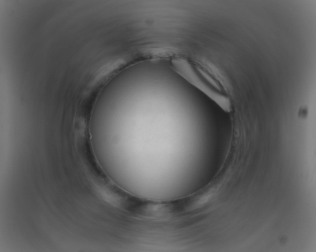 X0000092020117200709271557