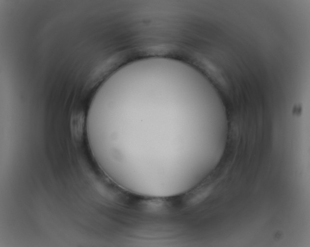 X0000092020118200709271557