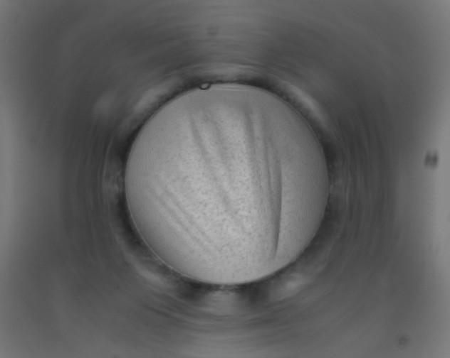 X0000092020119200709271557