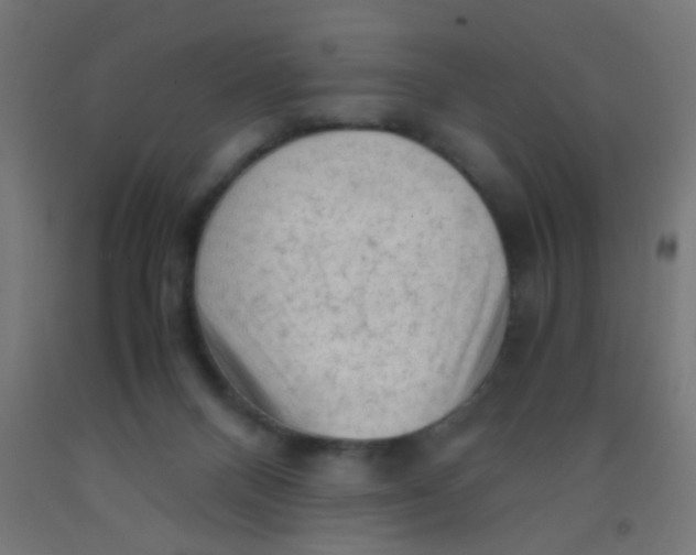 X0000092020120200709271557