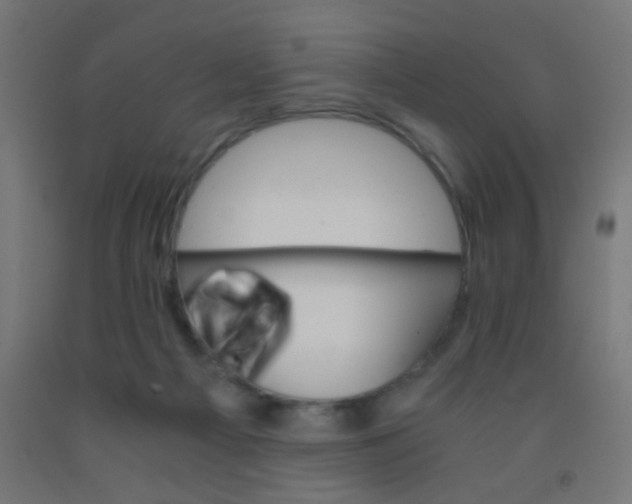 X0000092020121200709271557