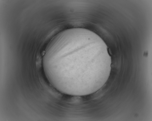 X0000092020124200709271557