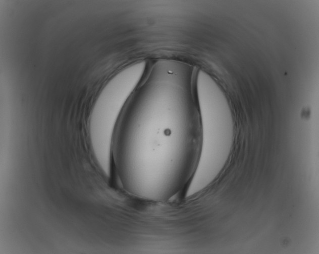 X0000092020125200709271557