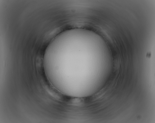 X0000092020126200709271557