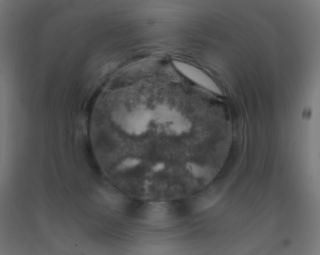 X0000092020127200709271557