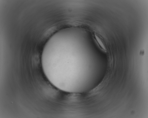 X0000092020128200709271557