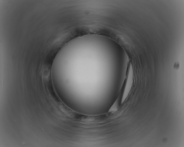 X0000092020129200709271557