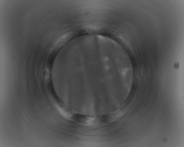 X0000092020130200709271557