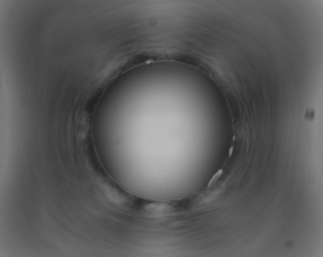 X0000092020133200709271557