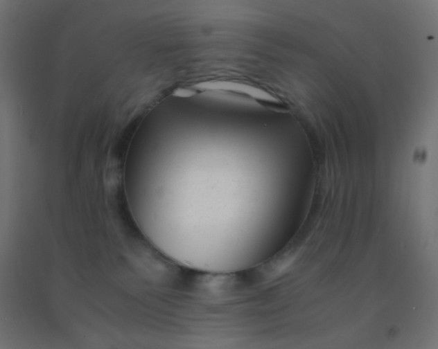 X0000092020135200709271557