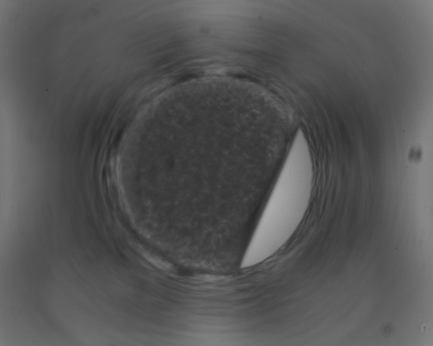 X0000092020137200709271557