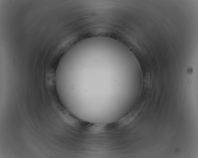 X0000092020138200709271557