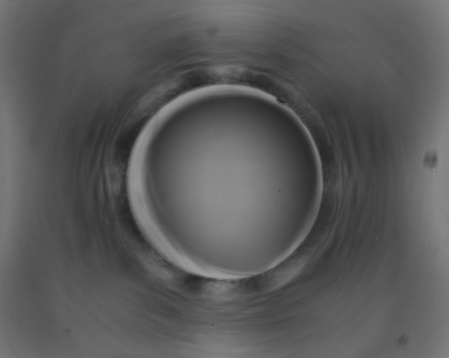 X0000092020139200709271557