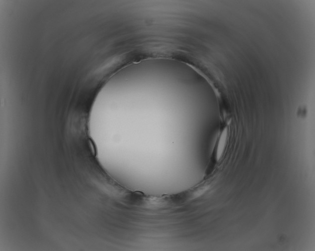 X0000092020141200709271557