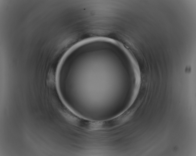 X0000092020143200709271557