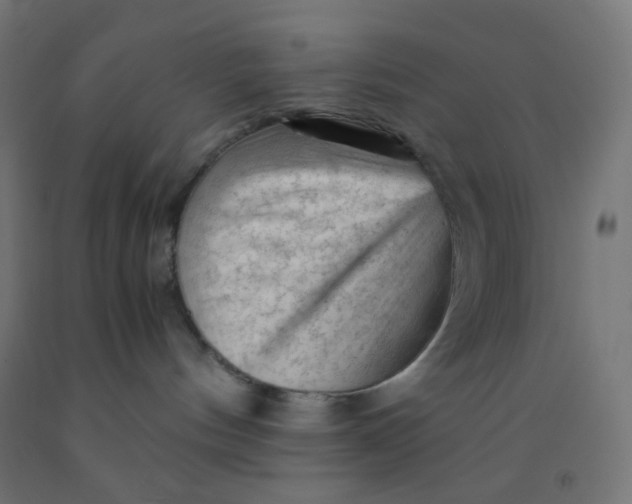 X0000092020144200709271557