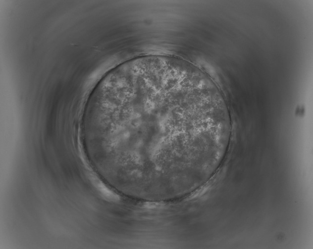 X0000092020145200709271556