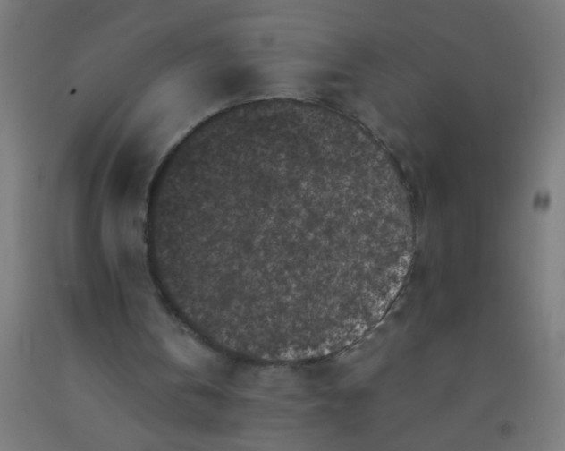 X0000092020146200709271556