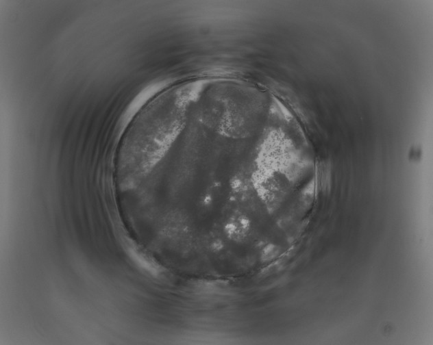 X0000092020147200709271556