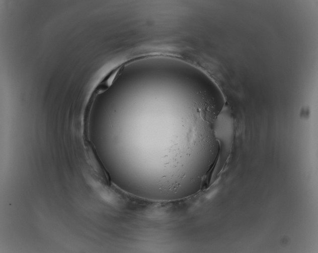 X0000092020148200709271556