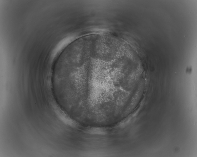 X0000092020149200709271556