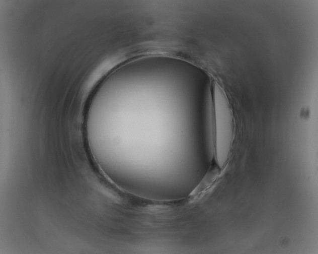 X0000092020150200709271556